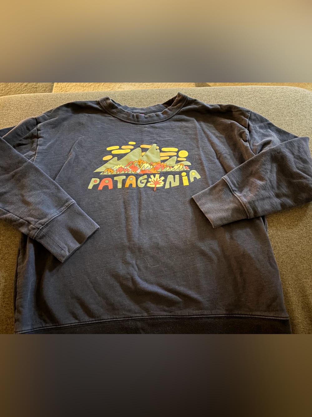 Patagonia Navy Crewneck with Multicolor Logo